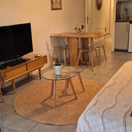 Cosy Rez Jardin 1 Parking Wifi Daire